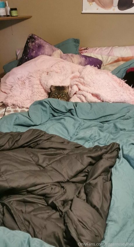 tiggerroseyfree porn onlyfans