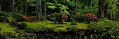 brynn onlyfans free porn