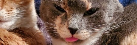 PrincessMaddieMaddz onlyfans naked leak