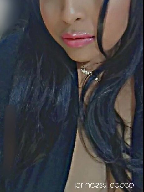 Cocco onlyfans content