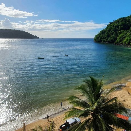 That Crypto Fella onlyfans nude