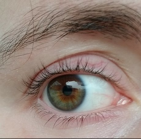 PrettyTransBoy onlyfans xxx