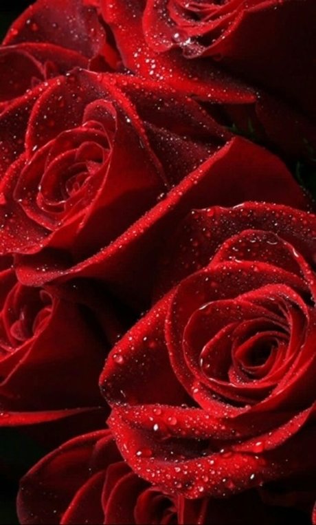 OfficialPrettyRed porn onlyfans