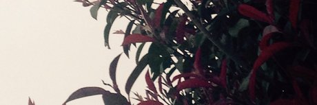 osiris onlyfans leak ass