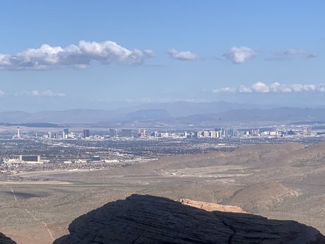 Pup Arlo onlyfans post