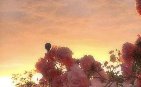 helloooo_ onlyfans leaked xxx