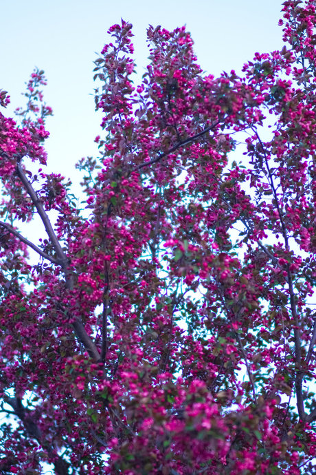 Puma Luna onlyfans porn leak