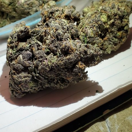 Crunchtyme Ent_ onlyfans nude photos