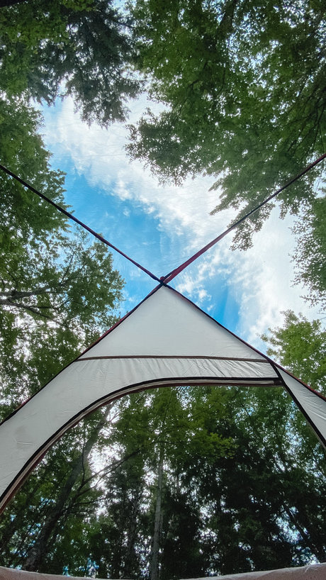 Portland bears only fans free