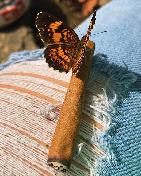 Princess monroe onlyfans leaked