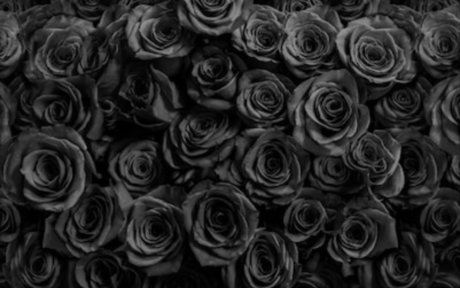 S C A R_ onlyfans leak fuck