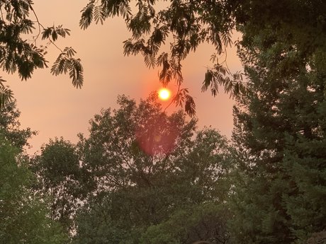 Dis D3x D onlyfans leaks sex