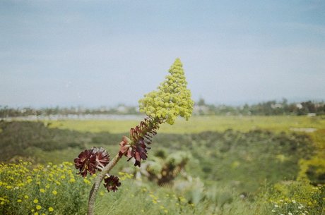 Hot Hen Woman only fans leaked