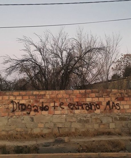 dnlxero onlyfans leak ass