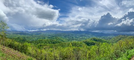 Felix Quartz onlyfans model