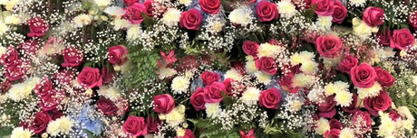 pussycat692 onlyfans porn free