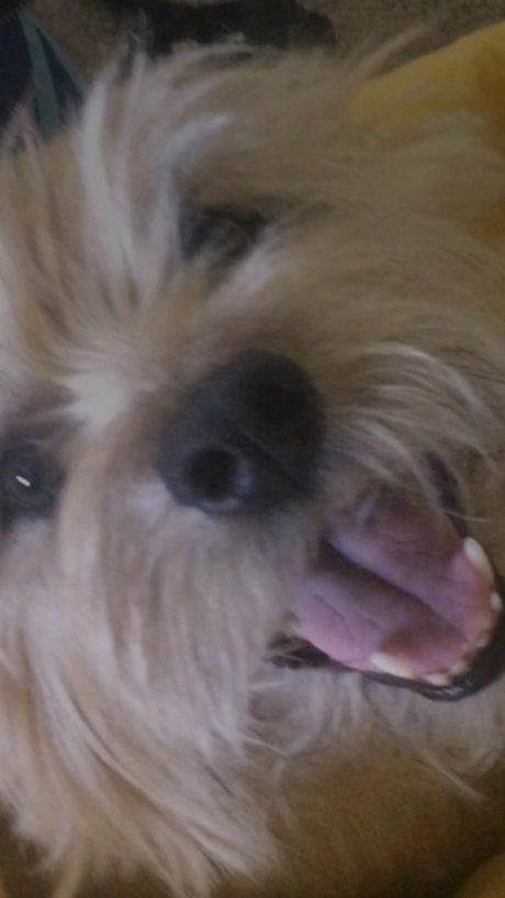 Caleb Brady onlyfans exposed