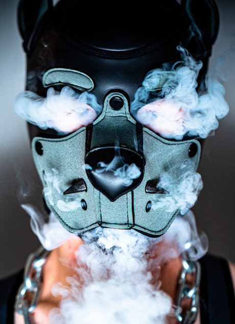 PupLeech onlyfans strip tease