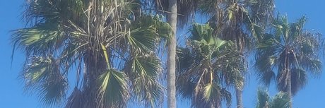 Wood nude onlyfans pics