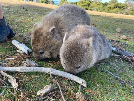 Quirkynaturegirl feet onlyfans