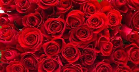 eastafricangoddess onlyfans nude tits