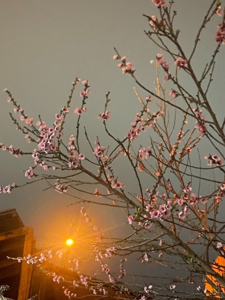 edgardo barraza onlyfans model photos