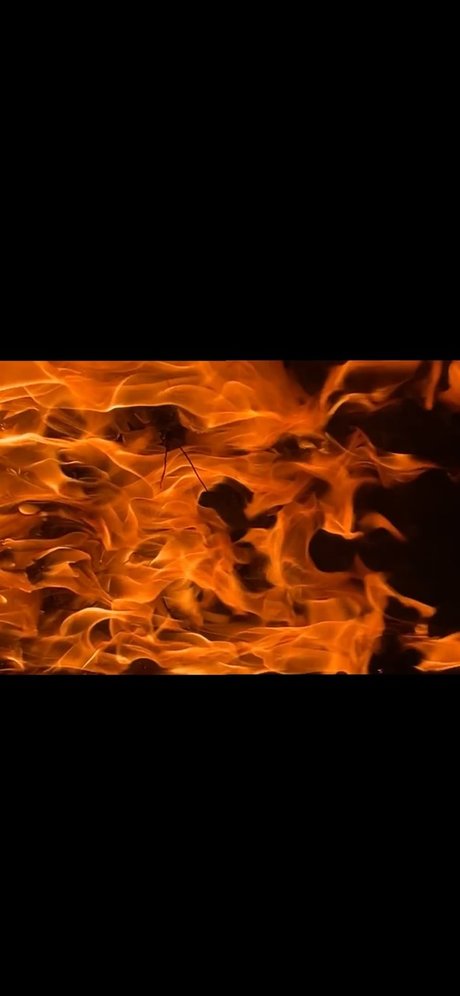 Ecchi Princess_ onlyfans leak ass