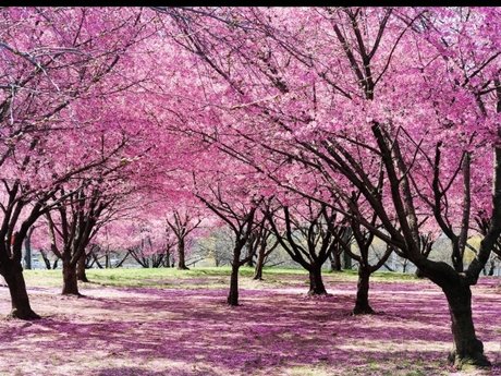 Quinn Hale tits onlyfans