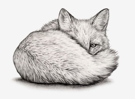 Quinn Fox porn onlyfans leak