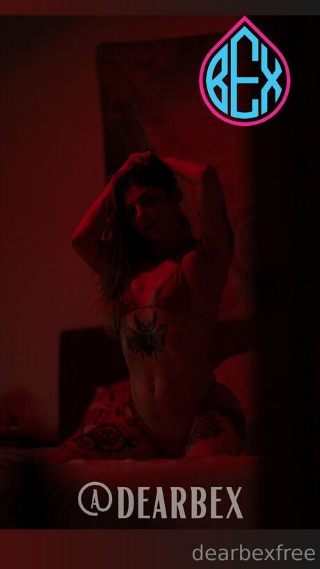 _dearbexfree Profile pic