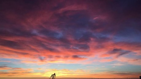 DonnyD topless onlyfans