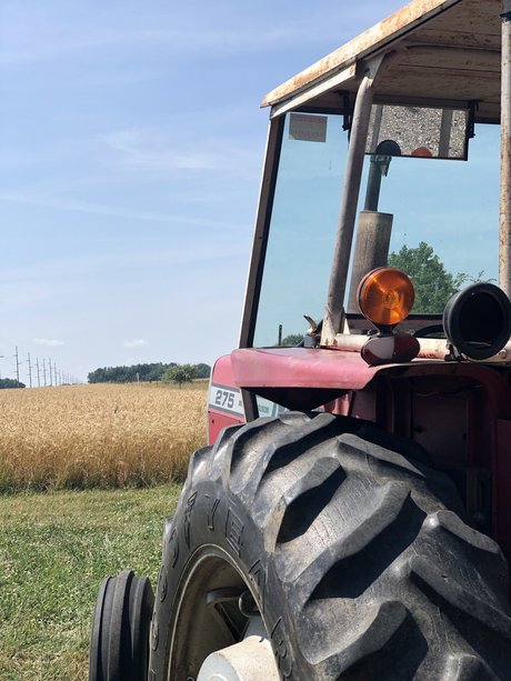 Dmich only fans naked