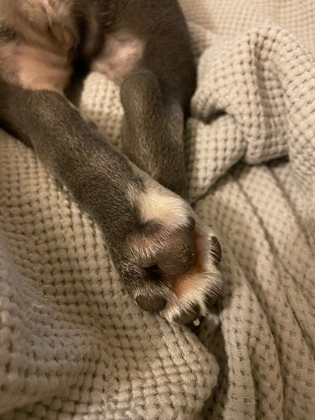 Stepford wife onlyfans leak porn