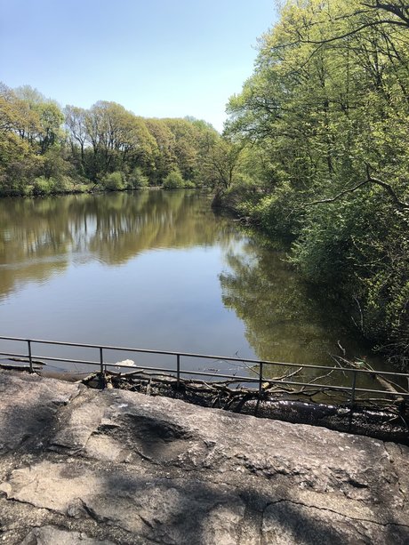 RainMan95 only fans free