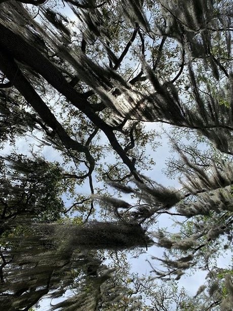 Rainah Morningstar porn leaked onlyfans