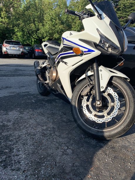 Anthony Pappalardo only fans pics