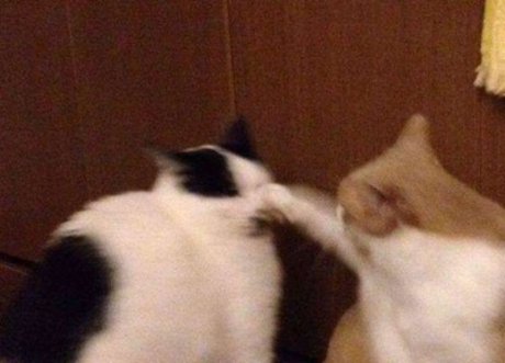 Ram Ranch CEO leaked onlyfans photos