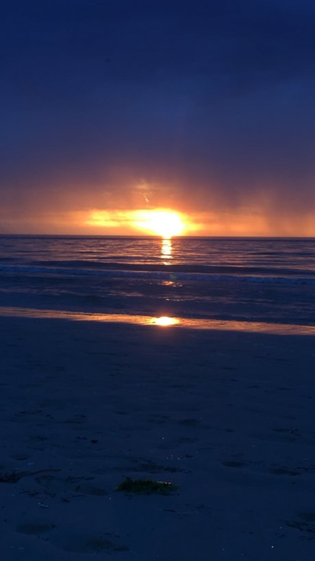 Disturbed princess_ onlyfans porn