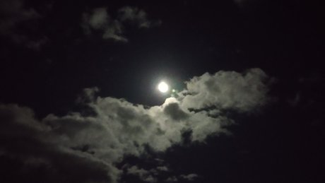 Don Doin_ nsfw onlyfans