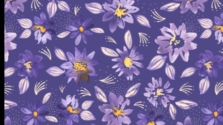 Feet of Daf_ onlyfans free porn