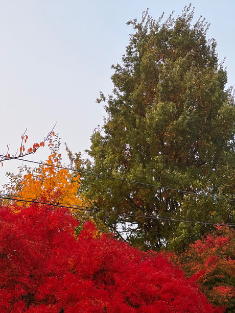 Storytime only fans review