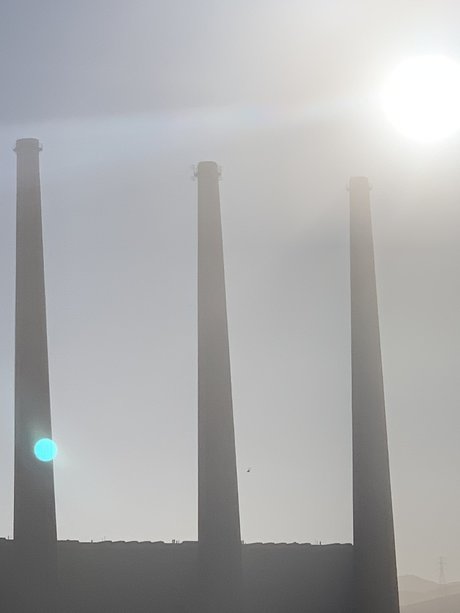 Raul Pacheco onlyfans leaks xxx