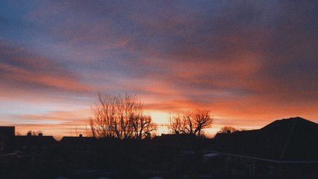 peter pan onlyfans photo