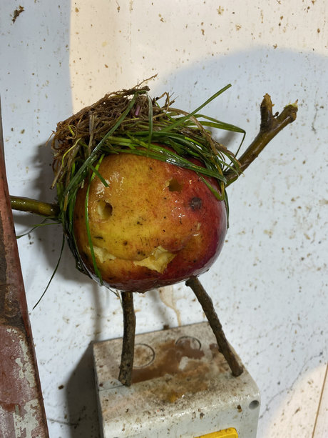 Rich Rowe onlyfans nude