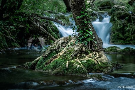 RedRhino nude onlyfans leak