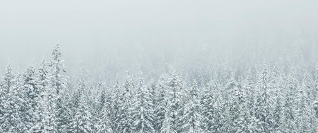 Anton Cash onlyfans porn