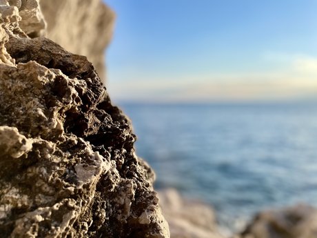 Remy Lecornec onlyfans leaked pics