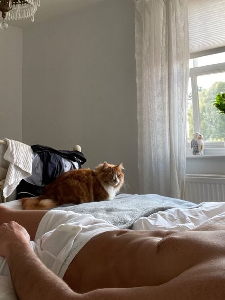 Regico onlyfans pics