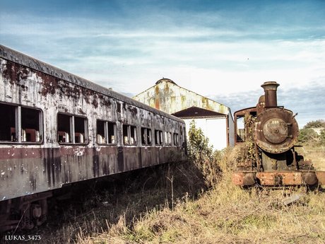 red scorpions only fans sex