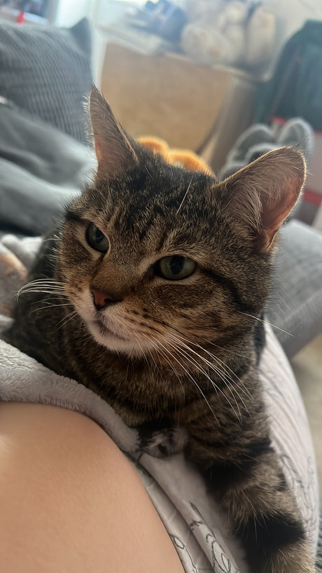 RedHairedKitten free onlyfans